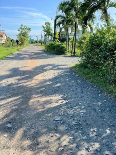 Bán đất xã Hòa Khánh Đông, huyện Đức Hòa. 5x25m. SHR. 1 tỷ 250