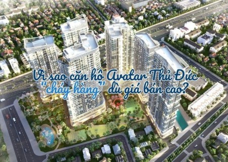 Vì sao căn hộ Avatar Thủ Đức “cháy hàng” dù giá bán cao?