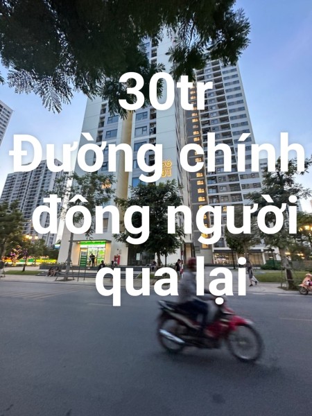 Cho thuê mặt bằng Shophouse CC Vinhomes, mặt sảnh, trục đường lớn, vị trí chung tâm 71 tòa chung cư