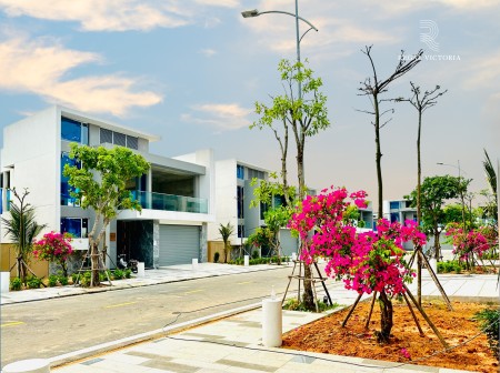 Đi đến slide 11