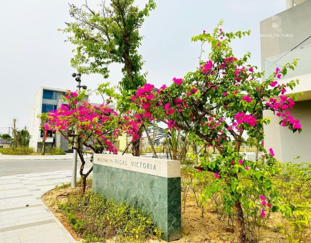 Đi đến slide 9