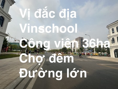 Cho thuê nhà mặt tiền trục đường chính trung tâm tiện tiện ích Vinhomes, cạnh trường học