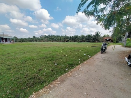 Bán đất nền dự án KDC Tân Hương (full thổ cư) sở hữu ngay sổ hồng trao tay