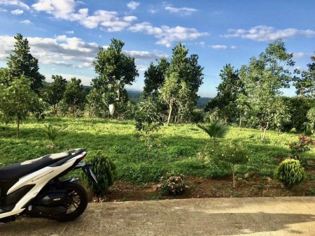 Bán đất vườn sầu riêng, vườn điều hơn 1000m giá 190tr