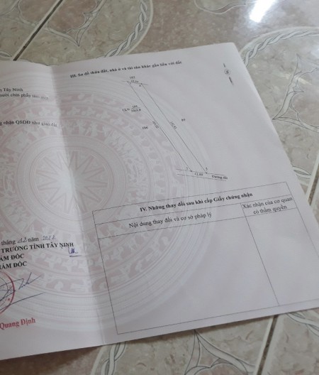 Bán đất nhà giá ngộp 550tr hết đất, 12x89m (hơn 1 sào ) trồng 200 gốc mít thái