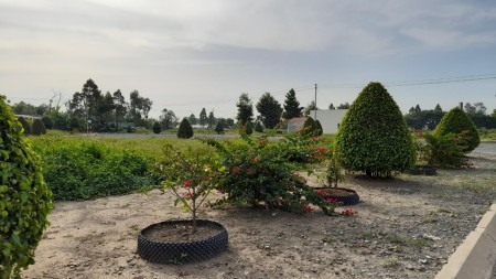 Đi đến slide 5