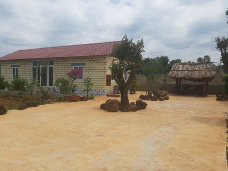 Đi đến slide 8