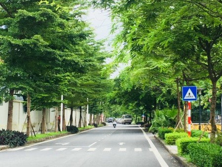 Bán căn hộ chung cư chính chủ 3 ngủ Tòa CT12 Hồng Hà Ecocity