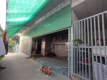 Đi đến slide 6