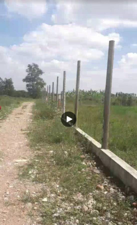 Bán gấp bán lỗ đất cho nhà đầu tư 2.8tr/m2 ở Vĩnh lộc A, Bình Chánh