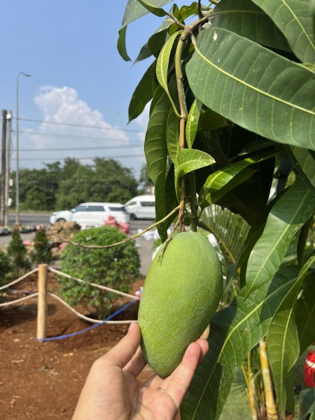 Đi đến slide 4