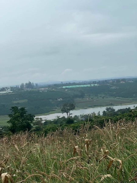 Chính chủ bán gấp 1.500m2 giá sốc Lâm Hà gần Đà Lạt, 14m đường xe hơi, QH thổ cư