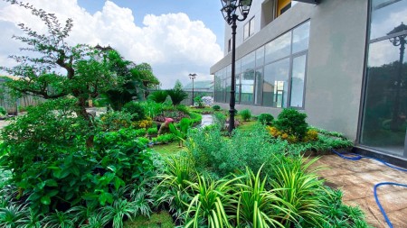 Đi đến slide 8