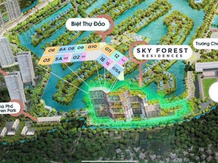 Bán căn hộ chung cư Sky Forest Residences Ecopark ưu đãi giá tốt chỉ cần vốn 15%