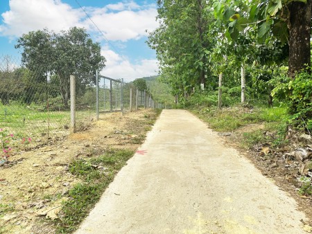 Đi đến slide 6