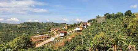 Siêu rẻ bán 360M2 đất thị trấn Nam Ban chỉ 1,1 tỷ/ nền