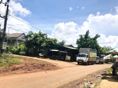 Gấp bán lỗ 9 sào đất Quảng Tân Đăk Nông chỉ 96 triệu/ sào