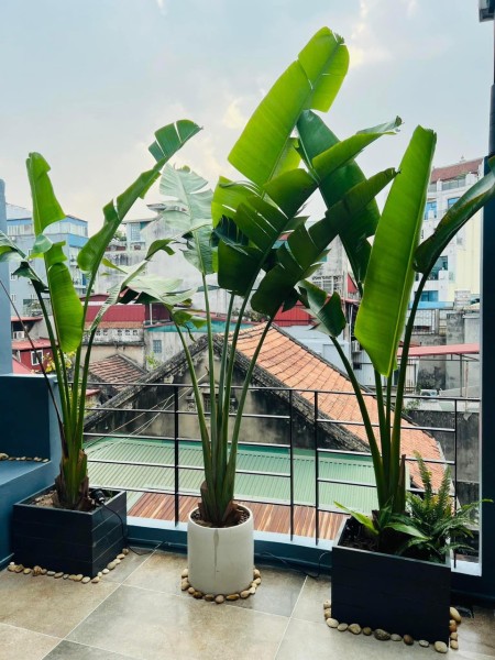 Đi đến slide 3