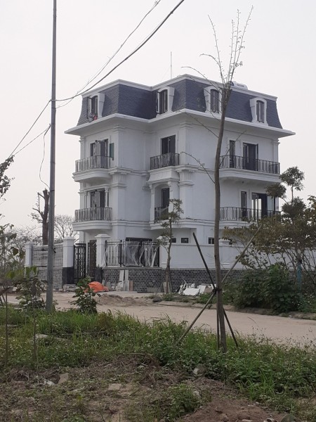 Cần bán gấp đất biệt thự có thể xây dựng ở ngat khu ĐT Cienco5 Mê Linh - Giá cực sốc