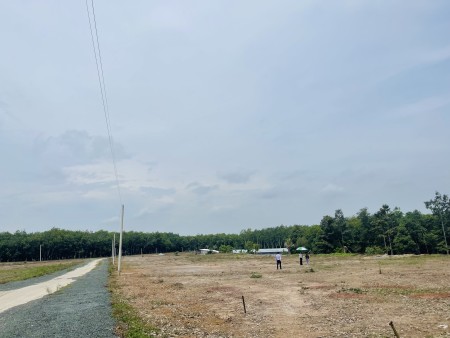 Siêu phẩm tại Hớn Quản, bán 2 lô tại Tân Quan 500m2, giá 580tr/ nền, SHR.