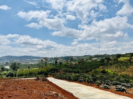 Đi đến slide 6