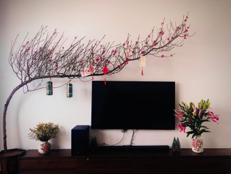 Cần bán căn nhà đường Cư xá Cửu Long, F22, BÌNH THẠNH