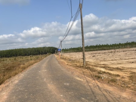 Ngộp nên cần bán ra gấp hơn 1000 m đất vườn QH đường 20m đường thông mát mẻ