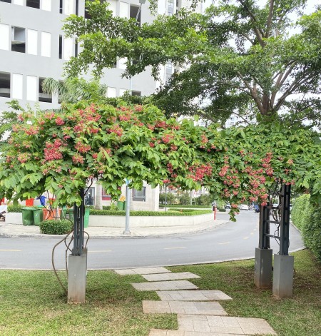 Đi đến slide 4
