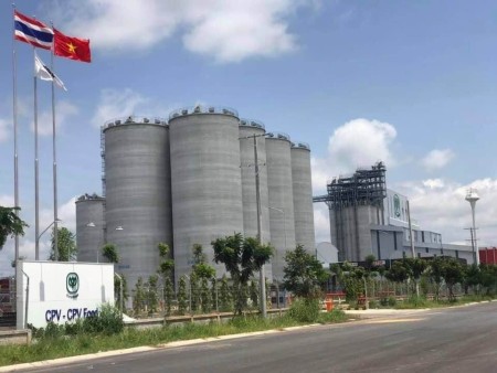 Đi đến slide 7