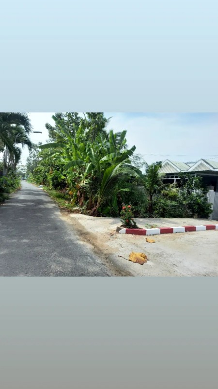 Bán đất nền thổ cư khu dân cư DH90D Mỹ Phong Tiền Giang