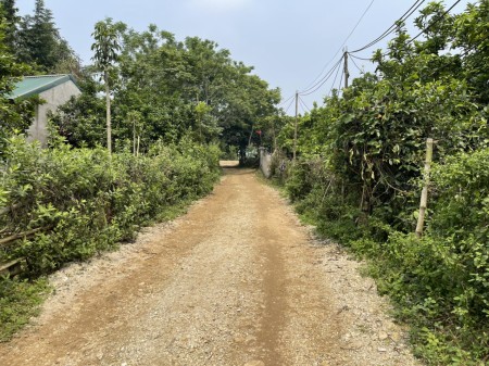 299t tr có ngay 500m đất ở tại Tân Lạc-HB bám đường 15m, đường thông các ngả, gần ủy ban, trường học