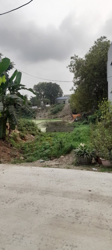Đi đến slide 6