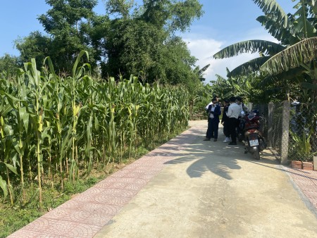 Đi đến slide 7