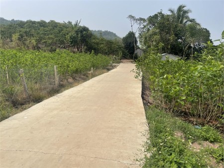 Vỡ nợ chính chủ cần gấp bán đất, sổ hồng riêng