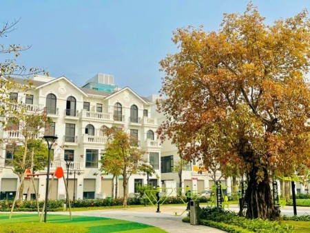 Cần bán căn song lập đường thông 150m2 giá tốt tại Vinhomes Ocean Park Gia lâm