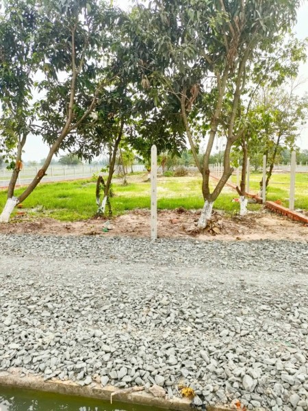 Cần bán gấp miếng đất vườn 500m SHR vi trí đẹp Kdc hiện hữu