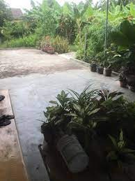 Cần bán nhà vườn Diên An giá rẻ!