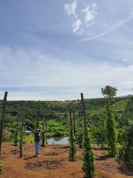 Đi đến slide 9