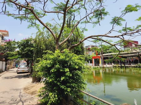 Chính chủ bán nhà ngõ 479 Lĩnh Nam, Hoàng Mai. DT 50mx5T, MT 4.5m. Giá 2.95 tỷ. LH 0943128768