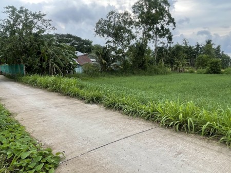 Bán đất nền cách cụm khu công nghiệp Tài Văn Trần Đề Sóc Trăng
