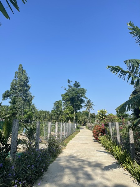 Đất nền Đại Quang - Đại Lộc giá rẻ - Sổ sẵn từng lô - Phù hợp với mọi nhu cầu. Giá chỉ 3xx triệu/nền