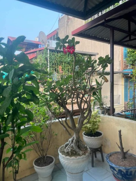 Đi đến slide 5