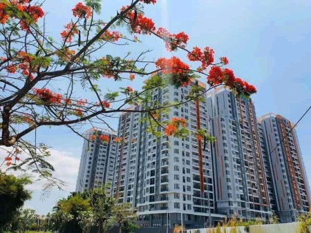 Siêu hot chủ gửi bán gấp căn 2pn, 67m2 Safira giá 2.350 tỷ bao thuế phí