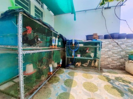 Nhà tại quận 8 có sân vườn trồng rau nuôi cá 4 tỷ