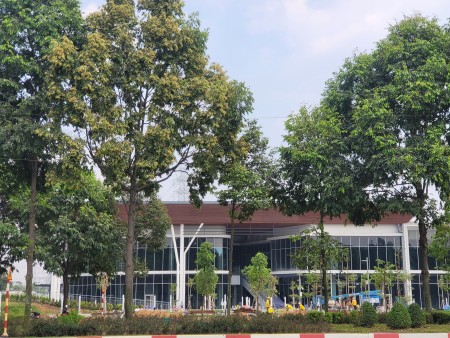 Bán mảnh đất sổ đỏ tại Bình Dương, diện tích 132.5m2, giá chỉ 30tr/m2
