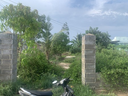 Bán đất 443m2 có 300m2 thổ cư - Thôn 3 Hàm Liêm cách nhựa 50m đường ô tô
