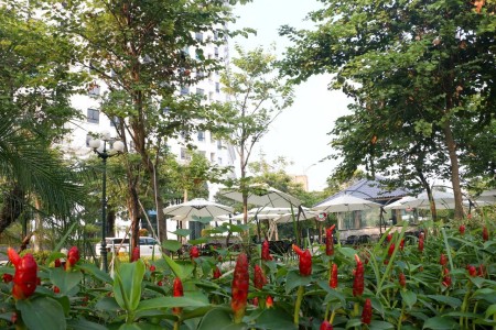 Bán gấp căn biệt thự 220m2 - đối diện Vinhomes The Harmony gần hồ điều hòa