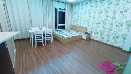 Cho thuê căn hộ mini cao cấp giá yêu thương ngay trung tâm Q7 FULL NT quá đẹp