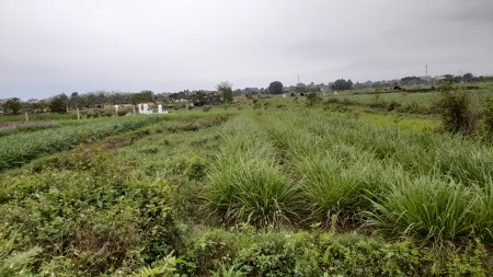 Cần bán Đất tại Danh Thắng Hiệp Hòa - Bắc Giang