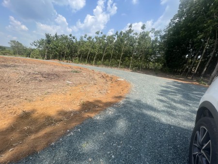 Chỉ 3xx triệu có ngay 1 lô đất đẹp 1000m2